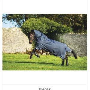 Amigo navy horse blanket